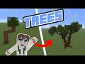 BUILDING FOR DUMMIES 101 - TREES -