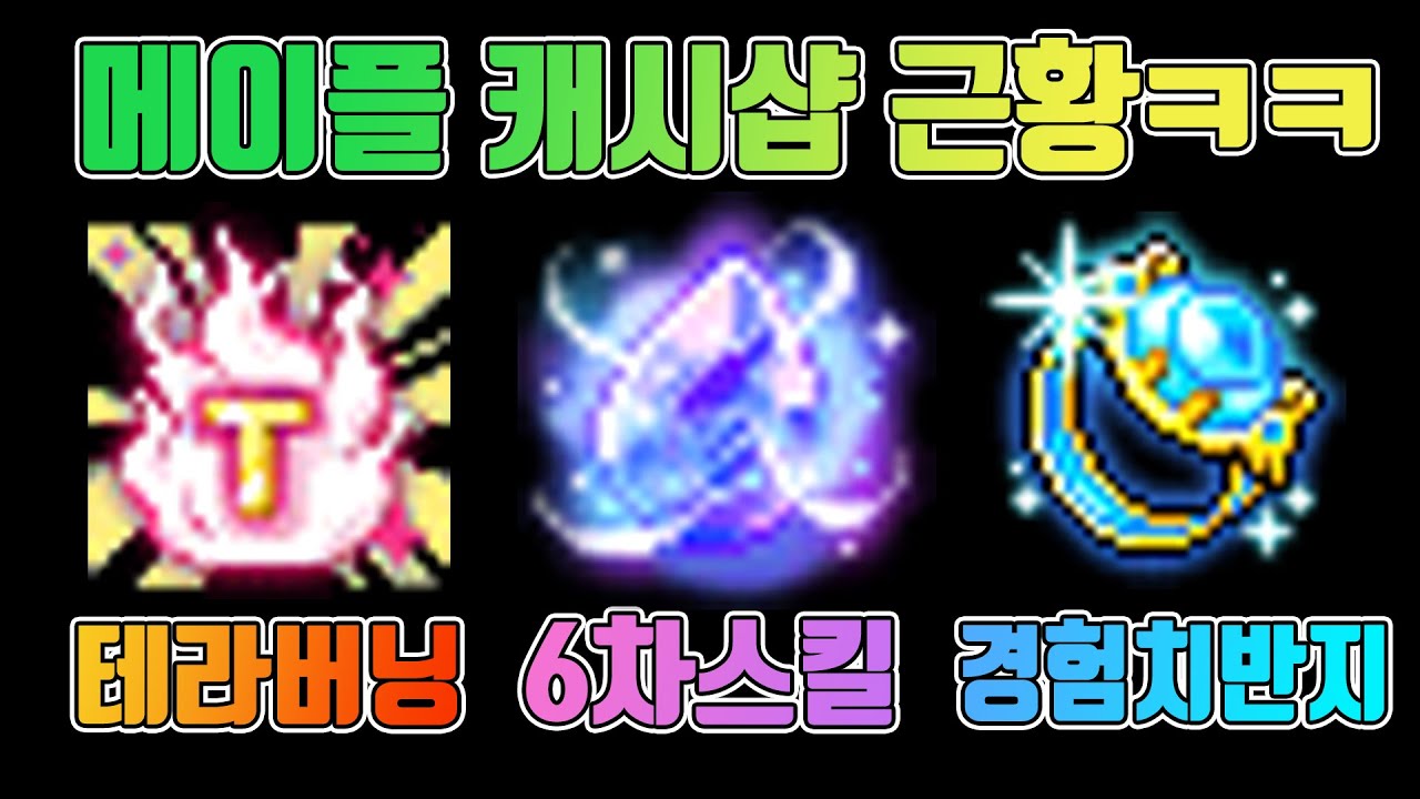 이걸 도대체 왜 돈 받고 파는 거에요? [메이플 캐시샵 업데이트 리뷰]