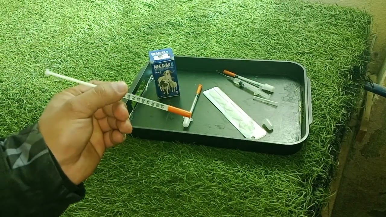 أساسيات نجاح المشروع 