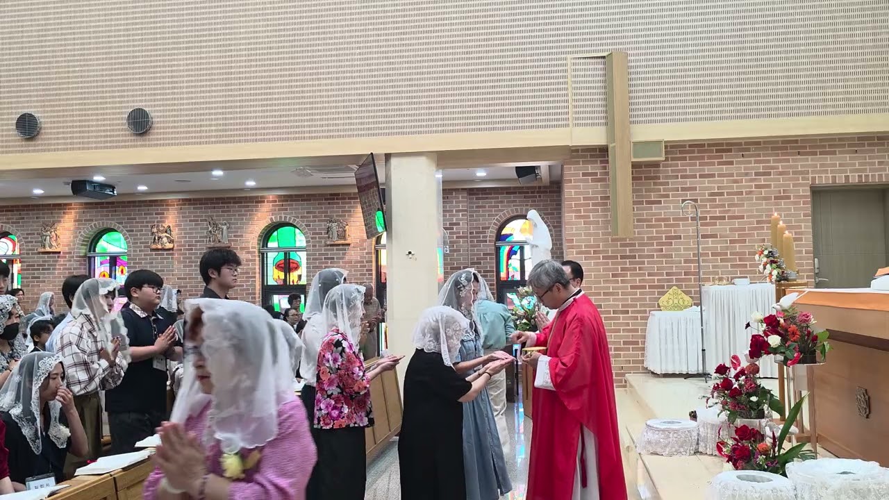 견진성사 예식 중 견진 대상자 영성체 예식 장면 짤 영상 2025.09.14