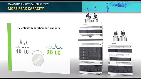 A New Benchmark in Efficiency
