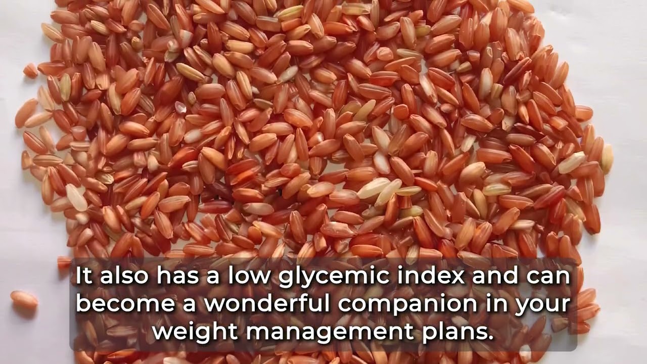 Link Fishing Cat Conservation to Healthy Wetlands and Human Sustenance - Chilika Red Rice