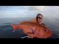 Fishing Expedition Maldives R. Atoll - Ruby