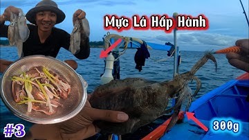 Trải Nghiệm Câu Mực Lá Gần Bờ | #3 : Và Món Mực Lá Hấp Hành Làm Lai Lai Cùng Anh Em & Nin Đi Biển