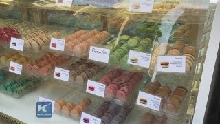 “Madison Square Eats”- Best Food in NYC
