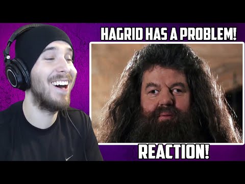 HAGRID HAS A PROBLEM! - Reacting to MAD HAGRID YTP (Charmx Reupload)