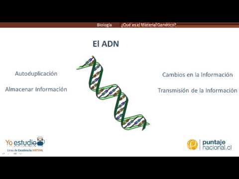 Video: ¿Qué significa material genético?