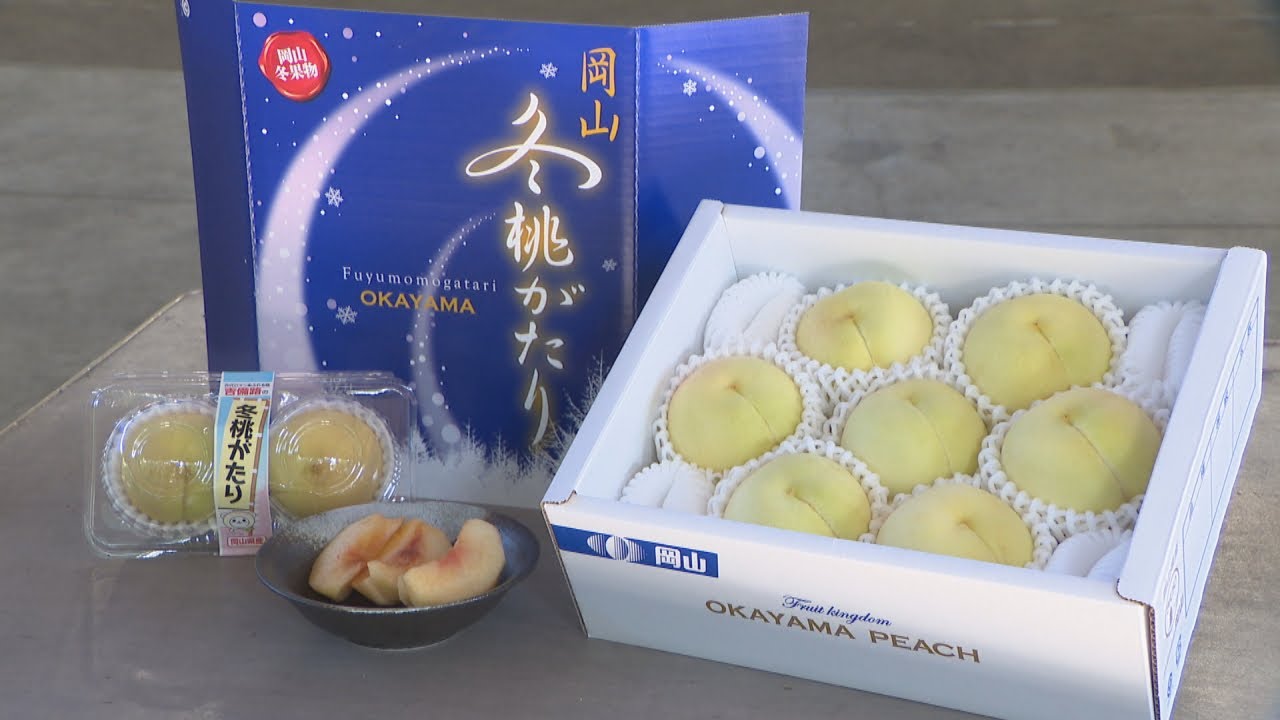 岡山特産・冬の白桃「冬桃がたり」出荷始まる 清水白桃に比べて甘いの