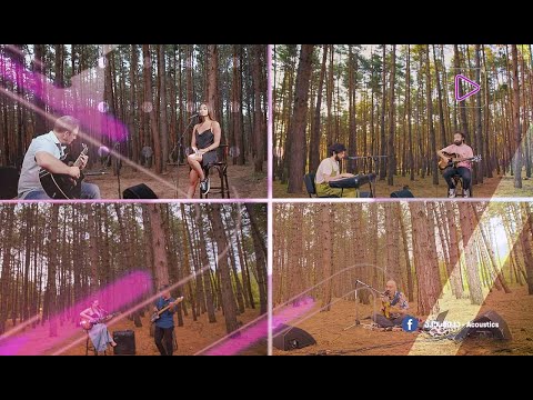 „აკუსტიკის“ ცოცხალი სესიები ტყეში