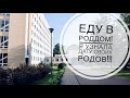 ЕДУ В РОДДОМ ДЛЯ ПОСЛЕДНЕГО ОСМОТРА | РАСКРЫТИЕ 1 СМ | МНЕ НАЗНАЧИЛИ ДАТУ РОДОВ И ТЕСТ НА COVID...