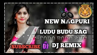 Ludu Budu Sag Lakhe New Nagpuri Dj Dominik Style Remix Song 2024