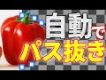 [Photoshop]自動でパスを作る方法！ （CC2020）