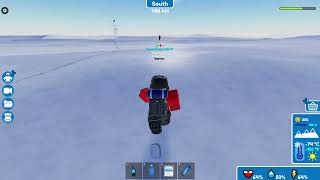 playing this artic  game