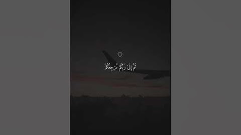 ﴿ قُلْ إِنّنِي هَدَانِي رَبِّي إِلَىٰ صِرَاطٍ مُّسْتَقِيمٍ ﴾ تلاوة هادئة الشيخ ماهر المعيقلي الانعام