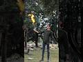 DIY Dragon Lighter !!