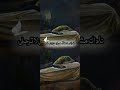 ناداك مشتاقا ـلي يازهرتي ﻼ ترحلي استشهاد فاطمه الزهراء جمادى الثاني يوم 3