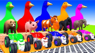 Choose The Right Tire with Cow Tiger Elephant Buffalo Gorilla TRex Wild Animals Cage Game