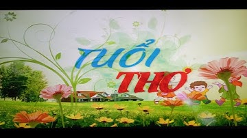 Cùng TUỔI THƠ về Tịnh Khê ngắm rừng dừa nước hoang sơ, thơ mộng