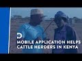 Mobile App Helps Maasai Cattle Herders in Kenya - YouTube