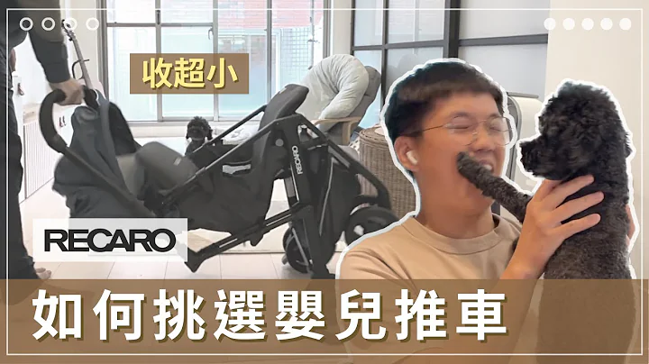 【懷孕36週】如何挑選嬰兒推車？我們選Recaro的3個理由！倒數的產檢，靜靜等待巨嬰的到來！ - 天天要聞