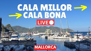 🔴 LIVE in Cala Millor & Cala Bona (Majorca) | 14 June 2025