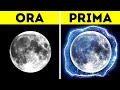 Meraviglie fuori dal mondo: 10 fatti insoliti sullo spazio a cui non crederete mai