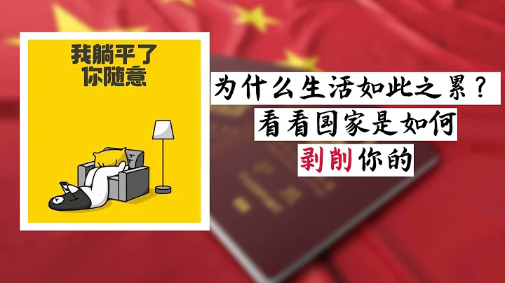 方脸说：国家是如何无声无息剥削你的？压在你身上的大山又是怎么来的？中国人真的吃到了GDP增长的红利吗？ - 天天要闻