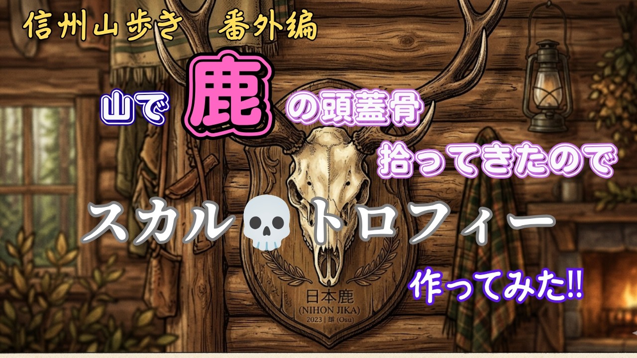 【19個限定】下栗の里　日本鹿　スカル　No.11 Shinshu Mountain Trek Extra Edition] I Made a Skull Trophy Out of
