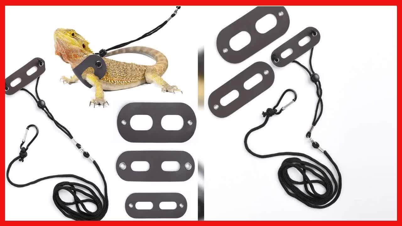 Quality product -  POLKASTORE Bearded Dragon Harness and Leash Adjustable(S,M,L, 3 Pack) - Soft Leat