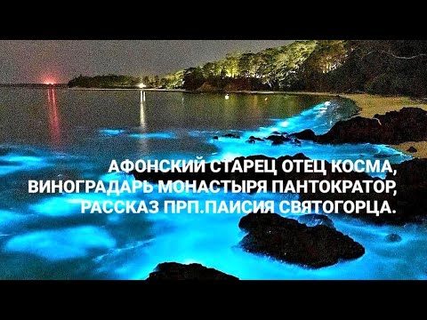 АФОНСКИЙ СТАРЕЦ ОТЕЦ КОСМА ВИНОГРАДАРЬ МОНАСТЫРЯ ПАНТОКРАТОР, РАССКАЗ ПРП.ПАИСИЯ СВЯТОГОРЦА.