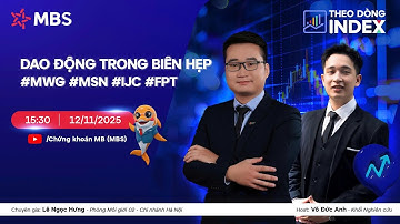 DAO ĐỘNG TRONG BIÊN HẸP | #MWG #MSN #IJC #FPT | THEO DÒNG INDEX 12.11.2025
