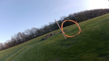 Wizard X220 Freestyle