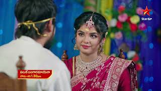Paluke Bangaramayena - Promo | 18th May 2026 | Mon - Sat at 1:30 PM | Star Maa Serials | Star Maa