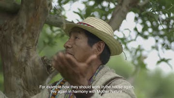 Reintegration of former combatants in Colombia