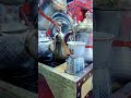اجمل قهوه سعوديه في مجلس ابو ابراهيم