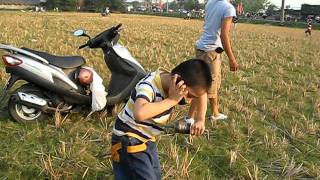 2011 0412 Kite field 1