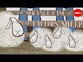 The strange case of the cyclops sheep - Tien Nguyen