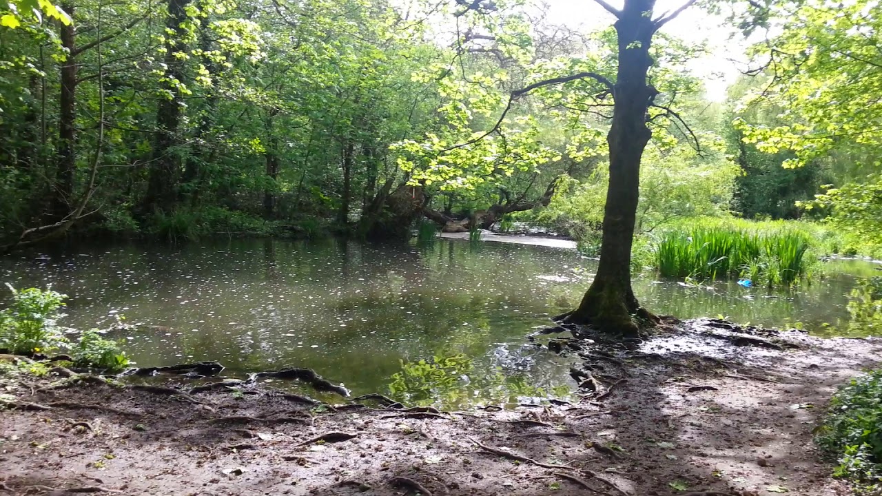 Cassiobury park Watford YouTube