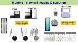 NGS High Throughput Genomics Core