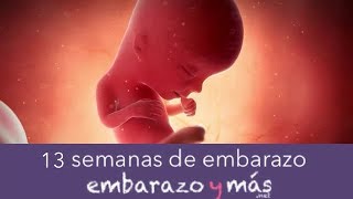 de embarazo - Tercer mes - EMBARAZOYMAS - YouTube