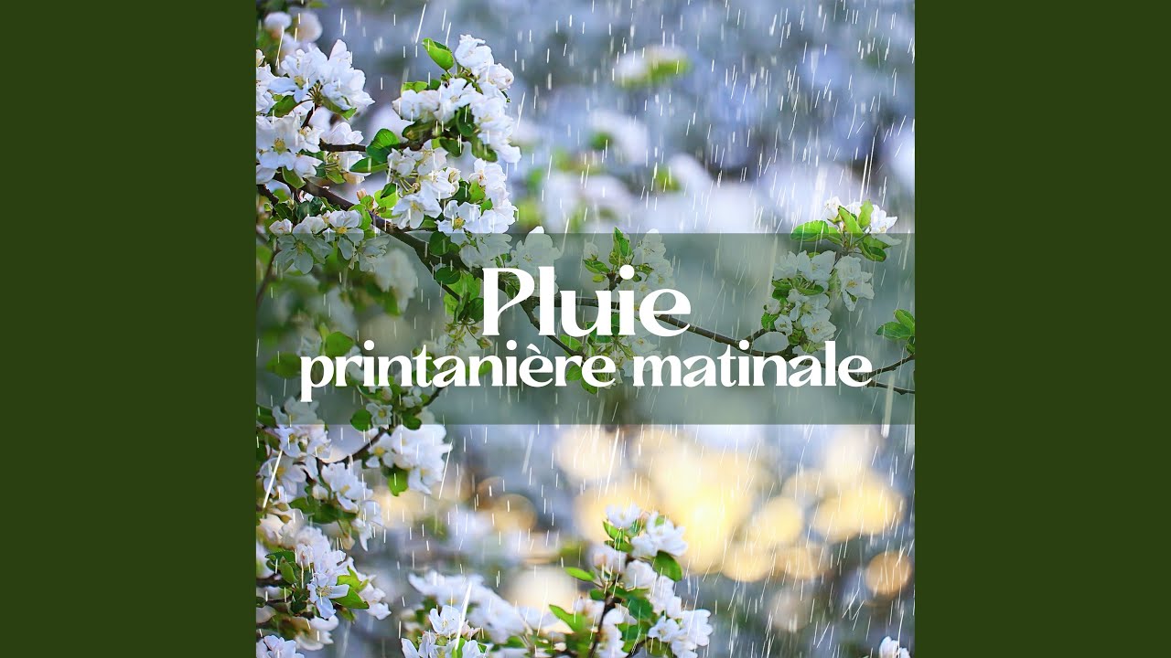 Méditation zen YouTube