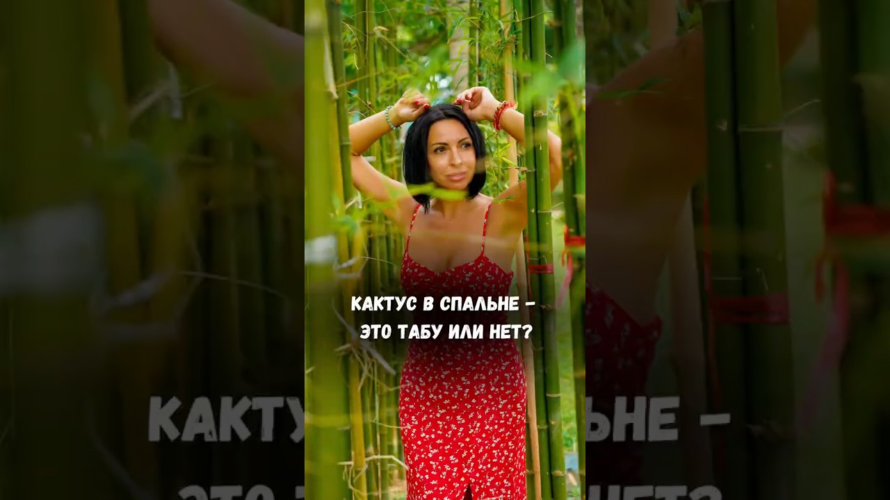 Кактус в спальне- это табу или нет