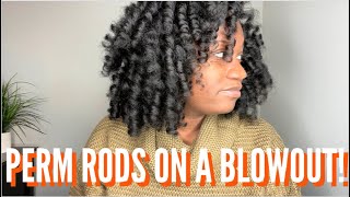 PERM RODS ON BLOWN OUT NATURAL HAIR | EiffelCurls