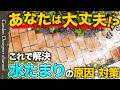 【お困りの方必見!】なぜかできてしまうお庭の水たまり!コレをやれば解決すること間違いなし!【How to Fix Standing Water in Your Yard】