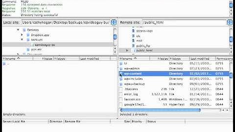 backup your WordPress files w ftp