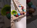 marble Run Race ASMR #296 Wooden Wave Course Colorful Marbles #marblerun #marblerunrace #asmr