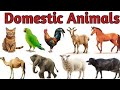 20 Pet animals name, animals name for nursery class, animals name hindi or english 