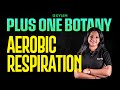 Plus One Botany | Aerobic Respiration | Xylem Plus One