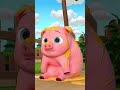 Pat-a-Cake Fun with Animals 🎵 | Newborn Baby Songs & Nursery Rhymes
