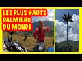 Des douleurs dans tout le corps  65 km de chemin de bois  moto pour voir des palmiers  cire 151